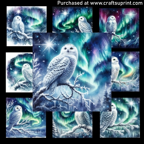 Snow Owls Whisper - CARD FRONTS