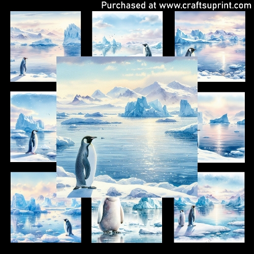 Penguin by an Icy Shore - CARD FRONTS