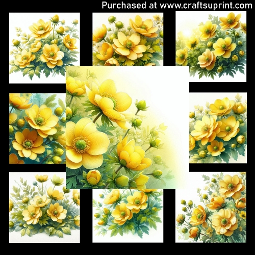 Spring flowers-Eranthis - CARD FRONTS