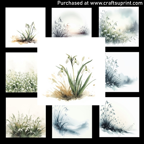 Snowdrop Awakening - CARD FRONTS