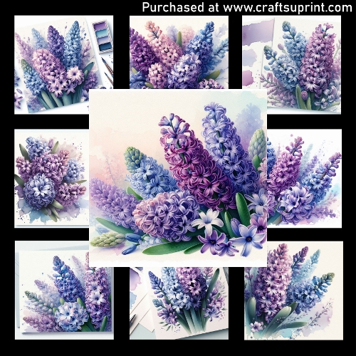 Hyacinth Morning - CARD FRONTS