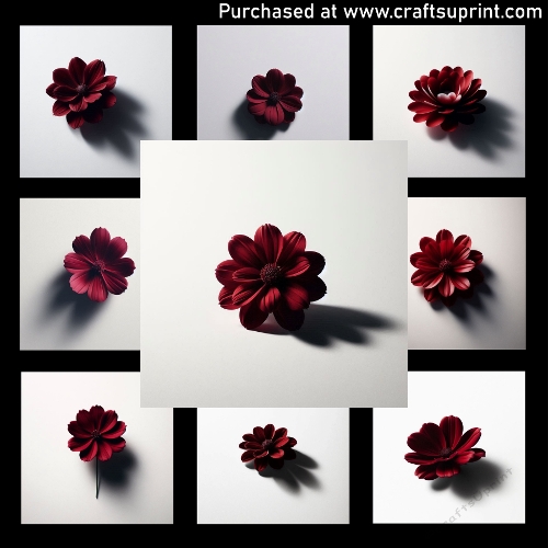 Crimson and White - CARD FRONTS