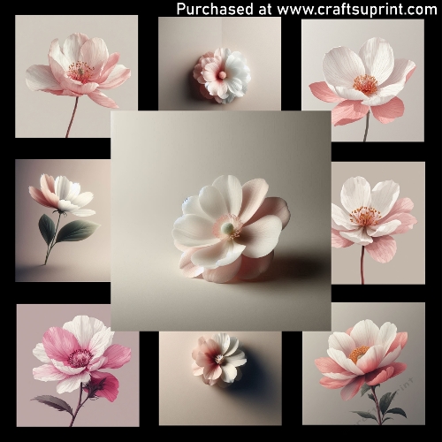 Dual Tone Blossom - CARD FRONTS