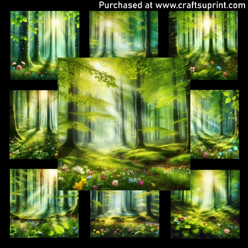 Forest Awakening - CARD FRONTS