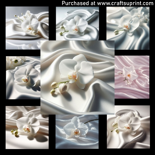 White Orchid on Satin - CARD FRONTS