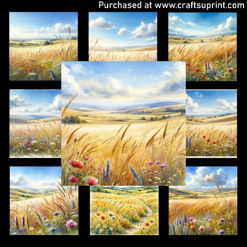 Golden Field at Noon - CARD FRONTS