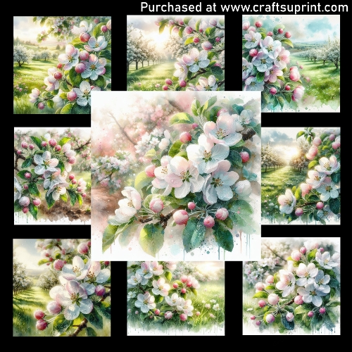 Apple blossoms after the rain - CARD FRONTS