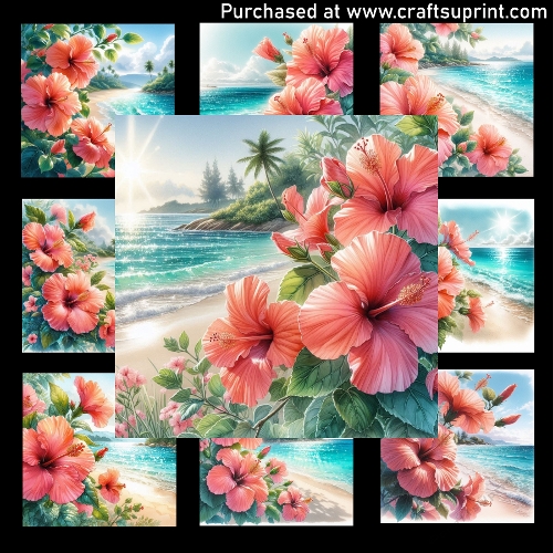 Coral-pink hibiscus - CARD FRONTS