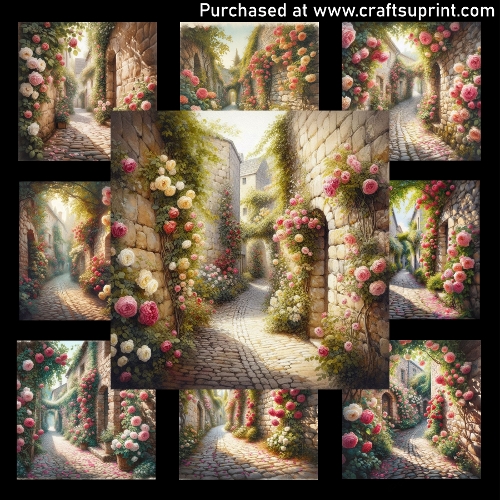 The alley of climbing rosess - CARD FRONTS