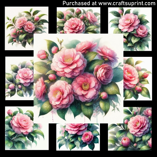 Morning Mist-Camellias - CARD FRONTS