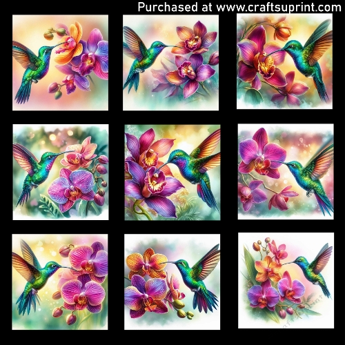 The Hummingbird and the Orchid