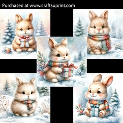 Little Snow Bunnies