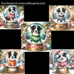  Adorable Border Collie in a Snowglobe 