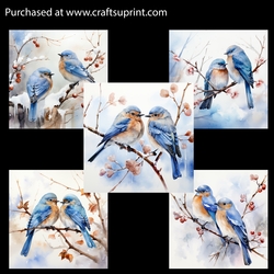Artistic Blue Birds Card Fronts
