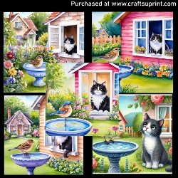 Tuxedo cat and bird