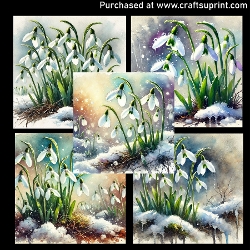 Spring flowers - Snowdrops