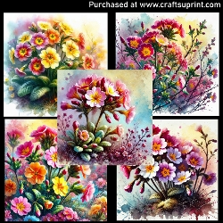 Spring flowers - Primrose