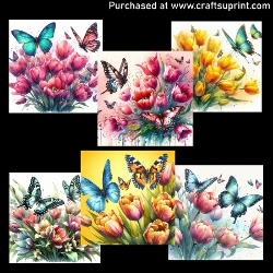 Butterflies and Tulips