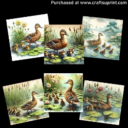 Mother Duck and Ducklings - CARD FRONTS