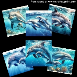 Dolphin Duo - CARD FRONTS