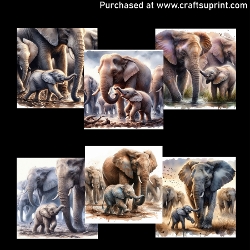 Elephant Herd