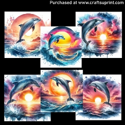 Playful Dolphin - CARD FRONTS