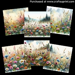 Wildflower Meadow