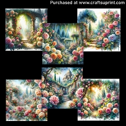 Beautiful roses 