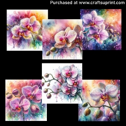 Dewdrops on orchids - CARD FRONTS