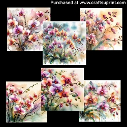 Colorful orchids 