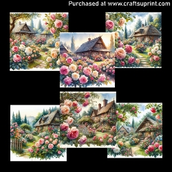 Rose garden