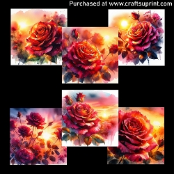 Red rose