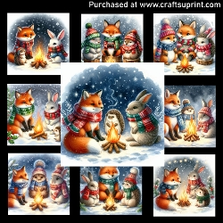 Cute Animals