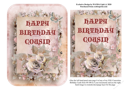 ADD ON FOR XXL 40-100 CONCERTINA BIRTHDAY CARD - COUSIN