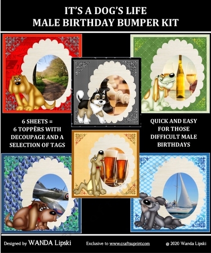 ITS A DOGs LIFE MALE BIRTHDAY QUICK TOPPER BUMPER PACK