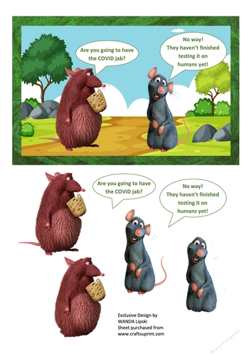 RATTY COVID VACCINATIONS HUMOURISTIC CARD FRONT - STAY SAFE