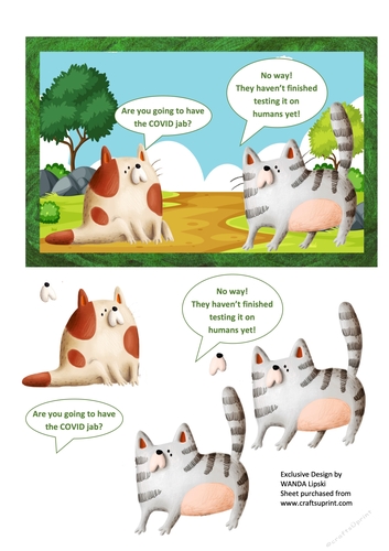 CATTY COVID VACCINATIONS HUMOURISTIC CARD FRONT - STAY SAFE