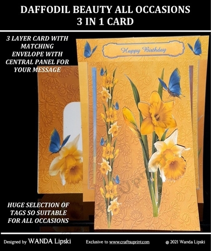 DAFFODIL BEAUTY ALL OCCASIONS 3 IN 1 CARD
