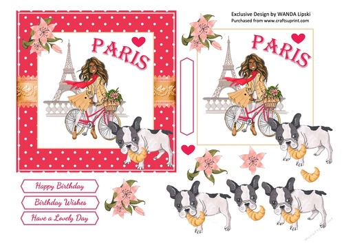 PARIS DREAMS 2 BIRTHDAY CARD FRONT