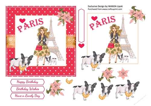 PARIS DREAMS 3 BIRTHDAY CARD FRONT