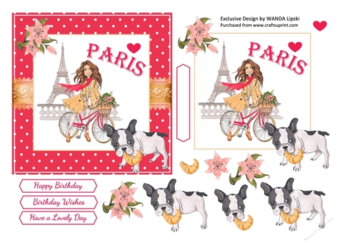 PARIS DREAMS 4 BIRTHDAY CARD FRONT