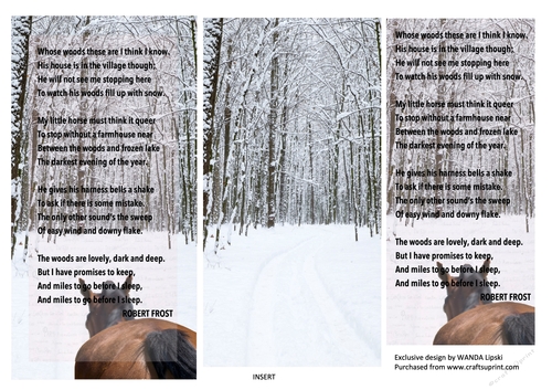 STOPPING BY WOODS ON A SNOWY EVENING CHRISTMAS OR ANY OCCASION TOPPER