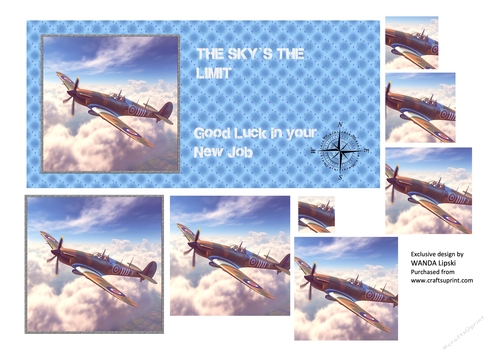 DL THE SKYS THE LIMIT SPITFIRE NEW JOB CARD FRONT