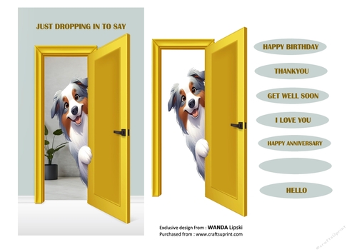 JUST DROPPING IN TO SAY PEEKING POOCHES - AUSTRALIAN SHEPHERD