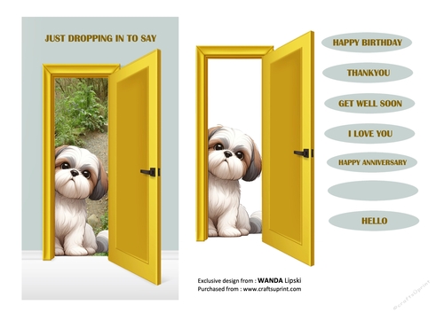 JUST DROPPING IN TO SAY PEEKING POOCHES - SHIH TZU