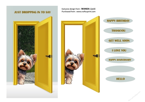 JUST DROPPING IN TO SAY PEEKING POOCHES - YORKSHIRE TERRIER