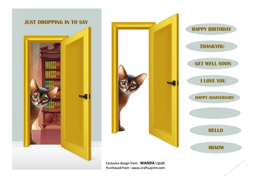 JUST DROPPING IN PEEKING MOGGIES - ABYSSINIAN