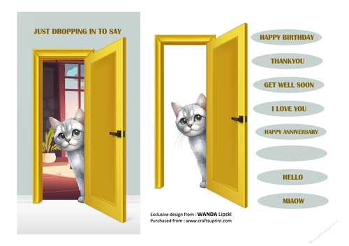 JUST DROPPING IN PEEKING MOGGIES - AMERICAN SHORTHAIR