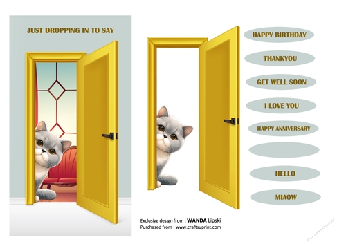 JUST DROPPING IN PEEKING MOGGIES - BRITISH SHORTHAIR