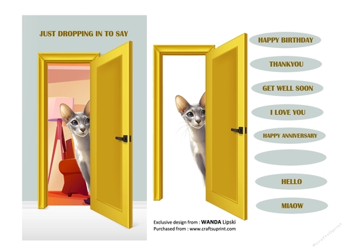 JUST DROPPING IN PEEKING MOGGIES - ORIENTAL SHORTHAIR